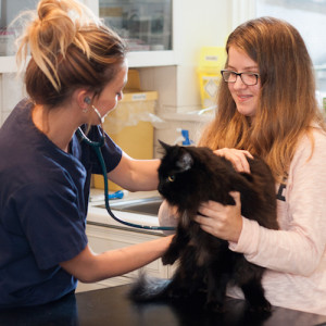 Book a free health check at Broadway Vets Book a free health check at Broadway Vets
